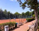 Larense Lawn Tennis Club