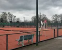Groenlose Tennis Club